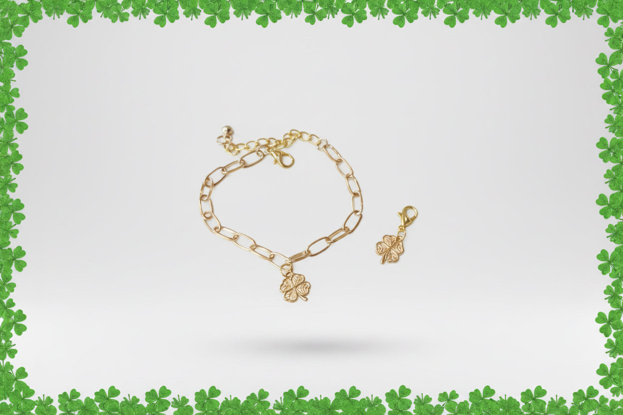 Charm bracelet and pony charm 