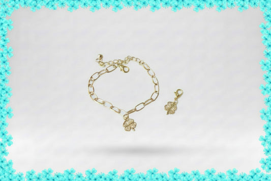 Charm bracelet and pony charm ￼
